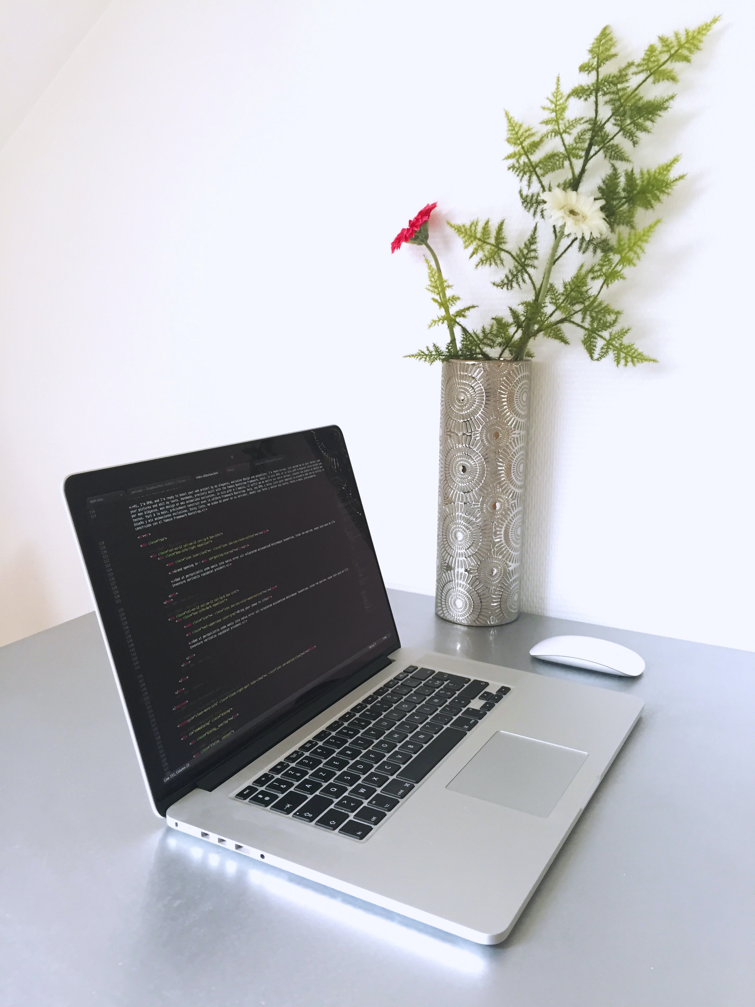 Software developer